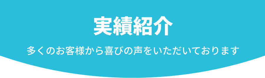 実績