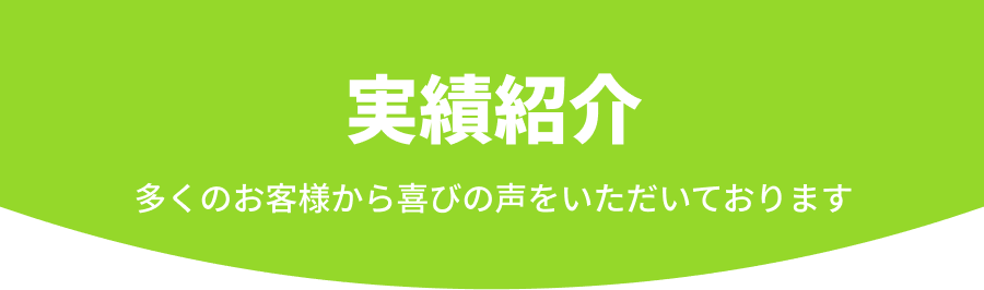 実績
